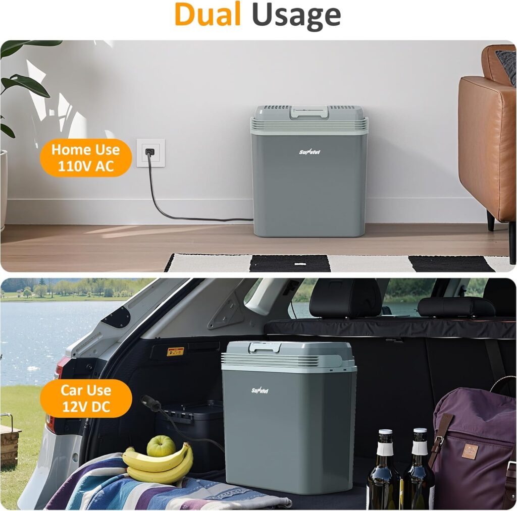 Electric Cooler & Warmer with Handle